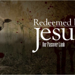 Redeemed Jesus Passover Lamb