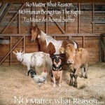 no matter what reason