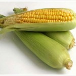 Corn-782175