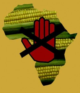  Η Μονσάντο «αγοράζει» την Αφρική! Τέρμα στα μικρά κτήματα και τις «ανεξάρτητες» καλλιέργειες