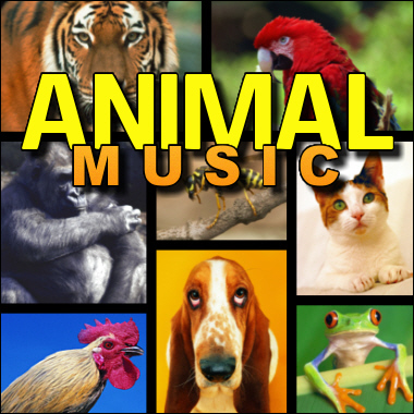 animal-music