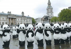 Λονδίνο: 108  "Panda" Κατέκλυσαν την Πλατεία Τραφάλγκαρ [VIDEO]