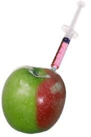 Μήλα που δεν Σαπίζουν Ποτέ, Το Νέο Μεταλλαγμένο Δημιούργημα Έτοιμο προς Κατανάλωση...!!!
