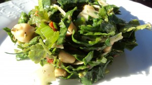 Σαλάτα με φύτρα ρεβυθιών, λαχανικά και άγριες καυκαλίδες.