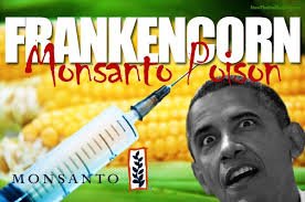 Ποια είναι στ΄αλήθεια η εταιρεία Monsanto (Βίντεο)